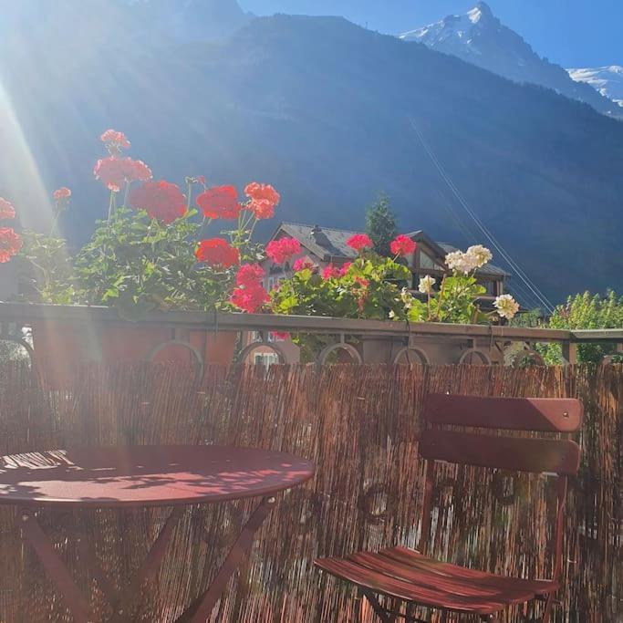 Studio Limbo Chamonix Hyper Centre Vue Imprenable Sur Le Mont-Blanc Ngoại thất bức ảnh